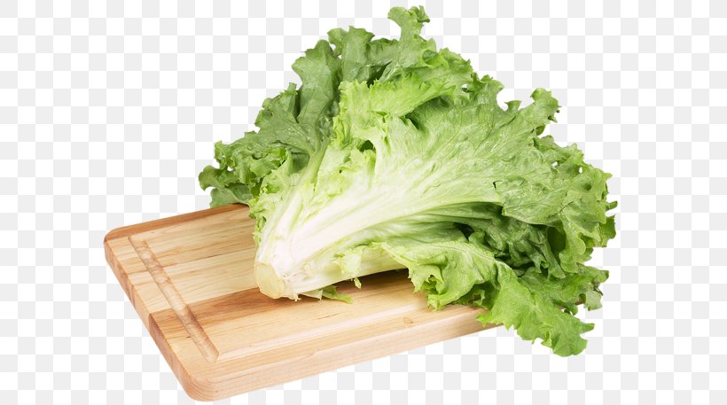 Fruit Salad Lettuce Leaf Vegetable, PNG, 600x457px, Fruit Salad, Broccoli, Cruciferous Vegetables, Endive, Food Download Free