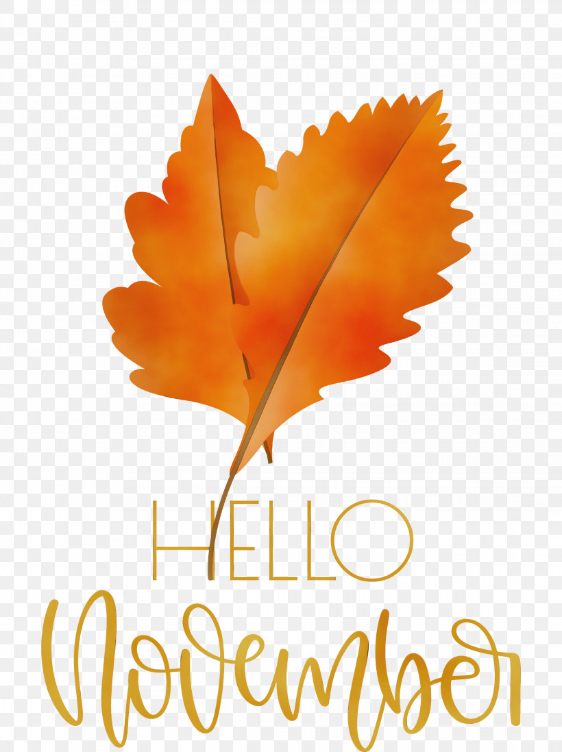 Leaf Petal Font Tree Meter, PNG, 2242x3000px, Hello November, Biology, Leaf, Meter, November Download Free