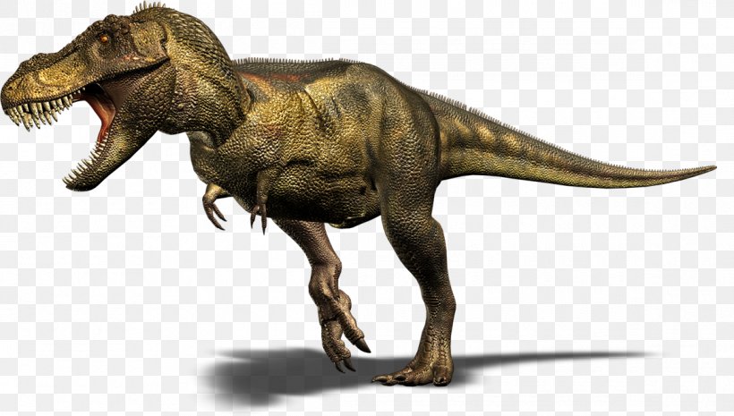 Cretaceous–Paleogene Extinction Event Dinosaur Animal Bird, PNG, 1165x662px, Tyrannosaurus Rex, Carnivore, Carnotaurus, Cretaceous, Dinosaur Download Free