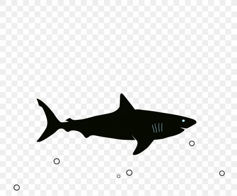 Great White Shark Megalodon Image Blue Shark, PNG, 961x799px, Shark, Birthday, Blue Shark, Bumper Sticker, Cartilaginous Fish Download Free