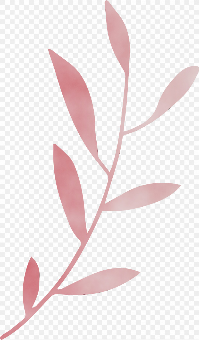 Leaf Pink M Plants Science Plant Structure, PNG, 1754x3000px, Leaf Branch, Biology, Leaf, Paint, Pink M Download Free