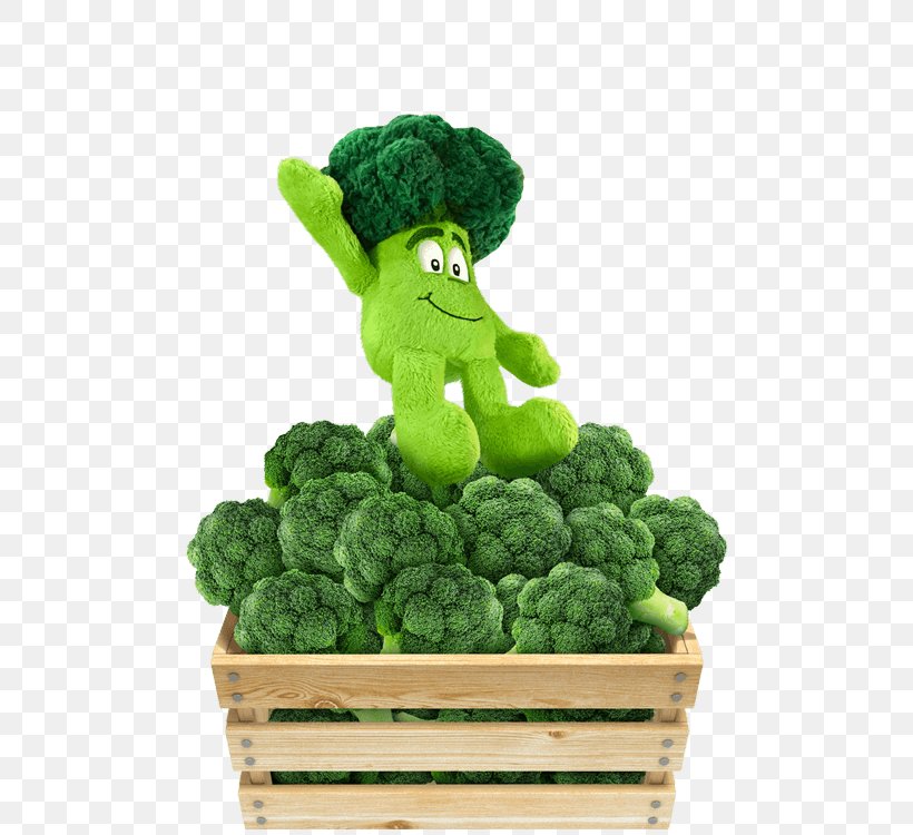 Leaf Vegetable Cauliflower Potato Pancake Recipe Broccoli, PNG, 750x750px, Leaf Vegetable, Broccoli, Cauliflower, Food, Frying Download Free