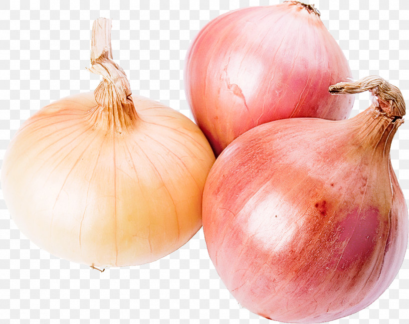 Yellow Onion Shallot Onion Vegetable Food, PNG, 1108x879px, Yellow Onion, Allium, Food, Natural Foods, Onion Download Free