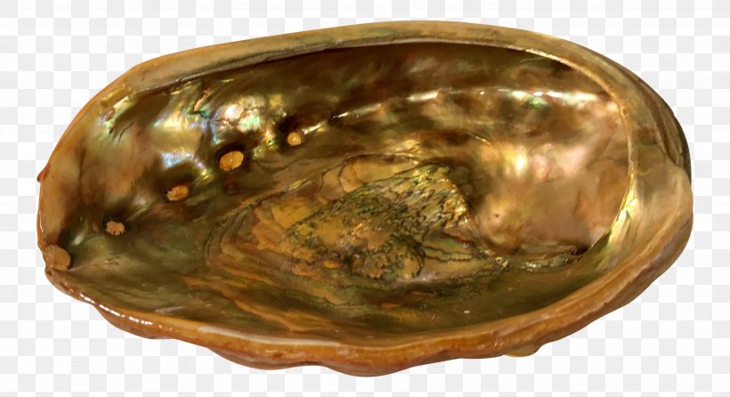 Bowl M Abalone, PNG, 3254x1773px, Bowl M, Abalone, Bowl, Brass, Clams Oysters Mussels And Scallops Download Free