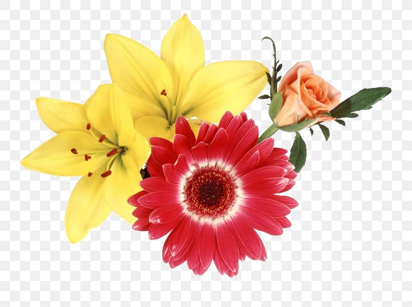 Flower Garden Roses Clip Art, PNG, 800x612px, Flower, Chrysanthemum, Chrysanths, Cut Flowers, Daisy Family Download Free