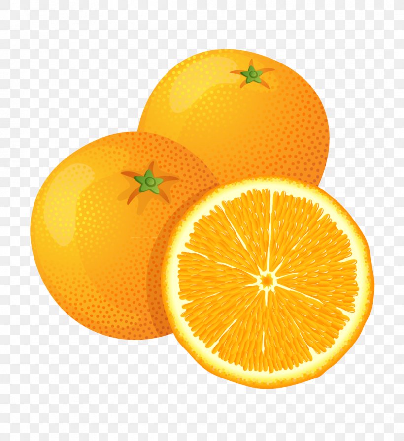 Fruit Orange Clip Art, PNG, 1067x1167px, Fruit, Bitter Orange, Citric Acid, Citron, Citrus Download Free