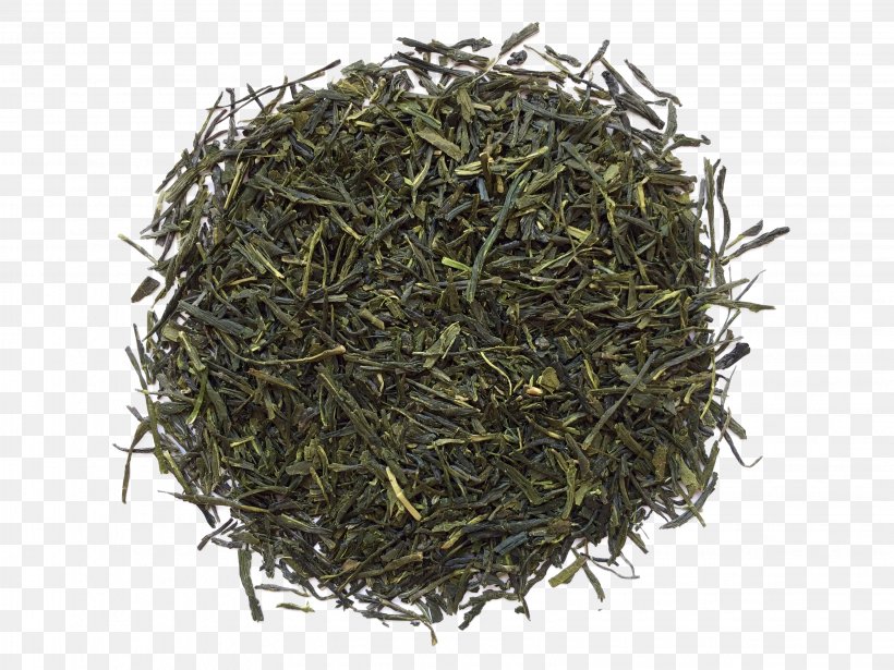 Gyokuro Nilgiri Tea Oolong Darjeeling Tea, PNG, 3264x2448px, Gyokuro, Assam Tea, Bai Mudan, Baihao Yinzhen, Bancha Download Free