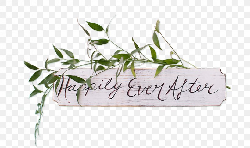 Mint Julep Creative Events Event Management Wedding Planner, PNG, 829x492px, Mint Julep, Calligraphy, Corporation, Event Management, Flower Download Free