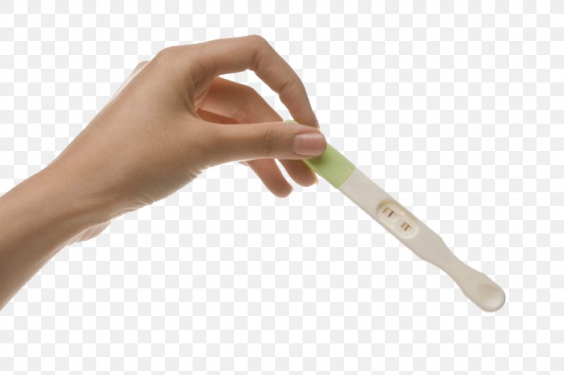 Pregnancy Test Fetus Ovulation Childbirth, PNG, 1024x683px, Pregnancy, Childbirth, Egg Cell, Estrogen, False Pregnancy Download Free