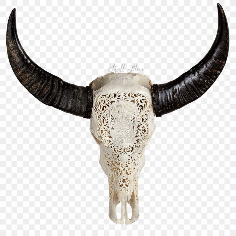 Skull Horn Buffalo American Bison Bone, PNG, 1000x1000px, Skull, American Bison, Art, Bison, Bone Download Free