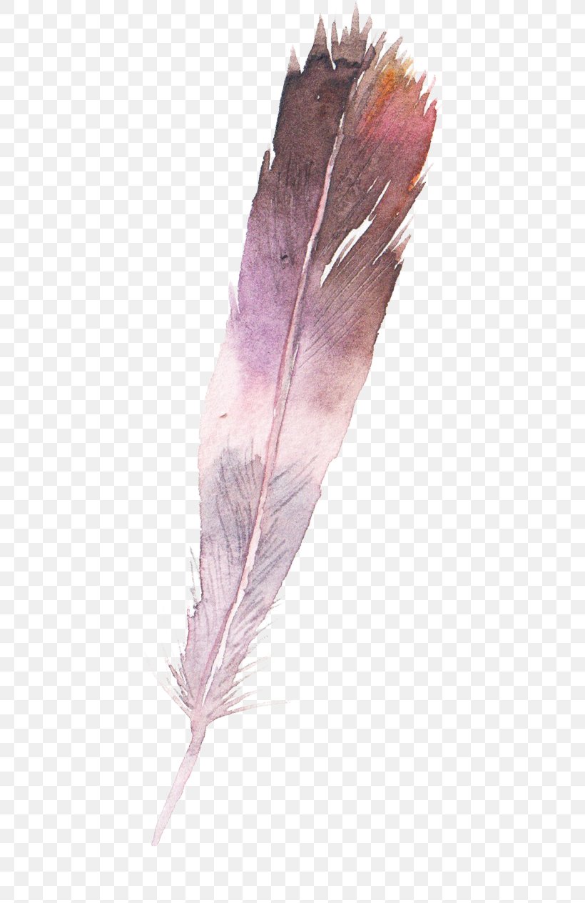 Watercolor Painting Feather, PNG, 426x1264px, Watercolor Painting, Color, Feather, Leaf, Paintbrush Download Free