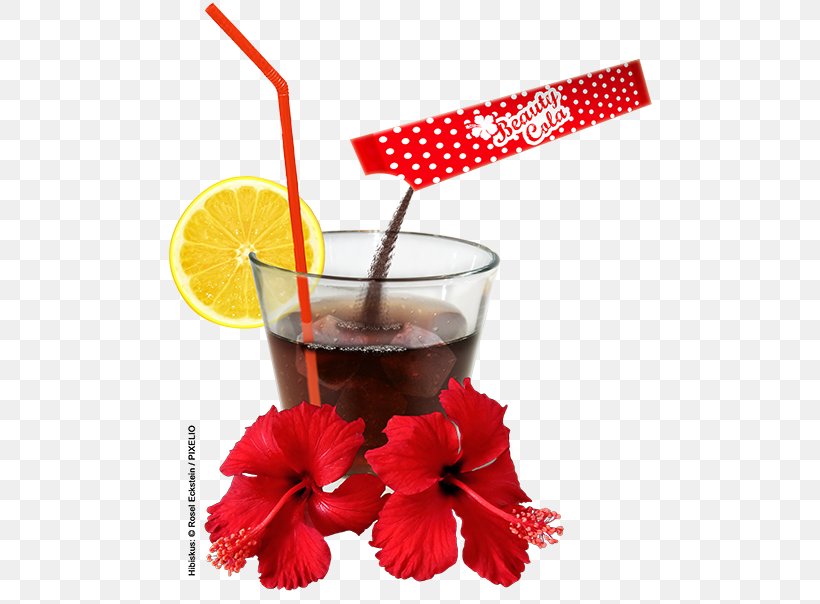 Fizzy Drinks Coca-Cola Non-alcoholic Drink Cocktail Garnish, PNG, 500x604px, Fizzy Drinks, Aspartame, Cocacola, Cocktail Garnish, Cola Download Free