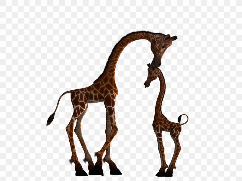 Giraffe Silhouette Clip Art, PNG, 1920x1440px, Giraffe, Animal, Fauna, Giraffidae, Mammal Download Free