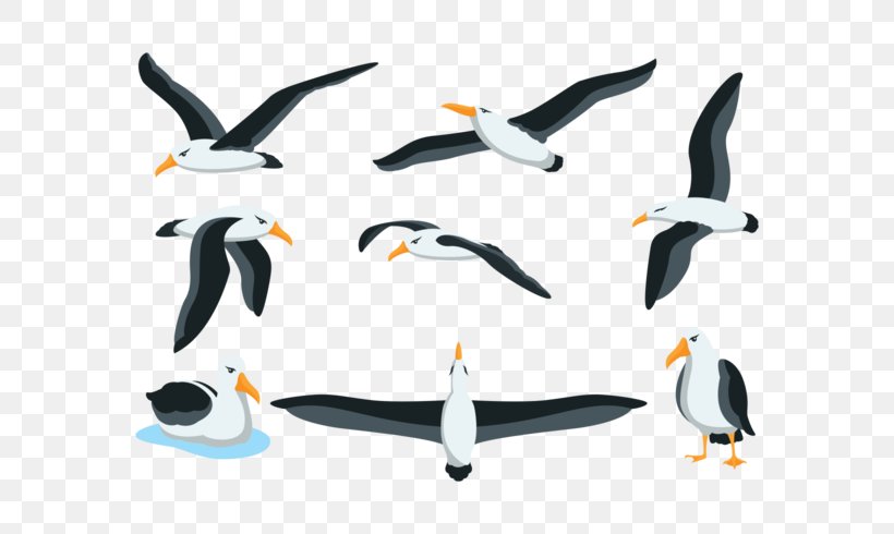 Penguin Albatross Drawing, PNG, 700x490px, Penguin, Albatross, Art, Beak, Bird Download Free