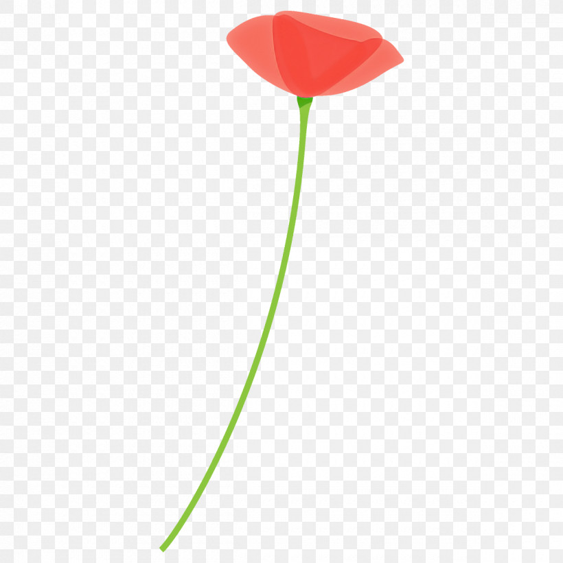 Poppy Flower, PNG, 1200x1200px, Poppy Flower, Anthurium, Coquelicot, Flower, Leaf Download Free