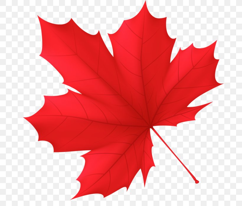 Autumn Royalty-free Leaf Canada Clip Art, PNG, 700x698px, Autumn, Autumn Leaf Color, Canada, Flowering Plant, Leaf Download Free