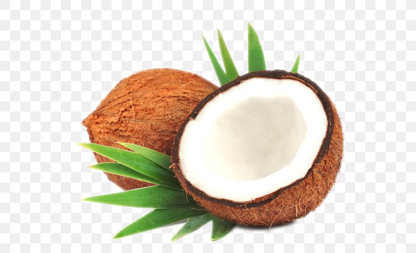 Coconut Milk Coconut Oil Leaf Stock Photography, PNG, 658x499px, Coconut, Arecaceae, Coconut Milk, Coconut Oil, Cooking Download Free