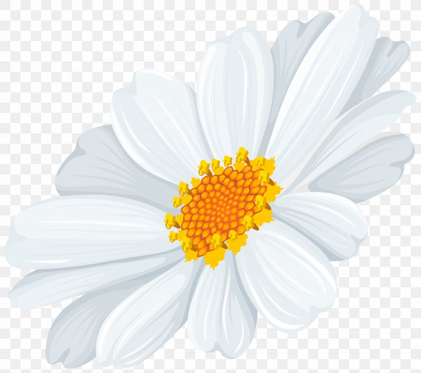 Common Daisy Oxeye Daisy Clip Art, PNG, 8000x7097px, Oxeye Daisy, Cardmaking, Chamaemelum Nobile, Chrysanthemum, Chrysanths Download Free