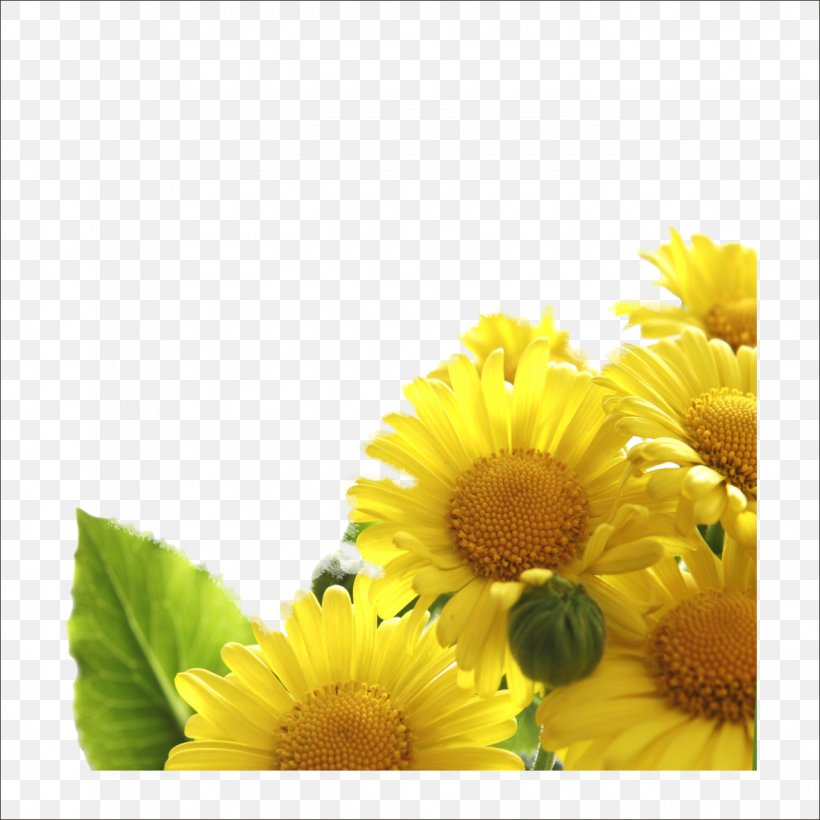 Flower Bouquet Yellow Rose Wallpaper, PNG, 1182x1182px, Flower, Birth Flower, Blue, Color, Computer Download Free