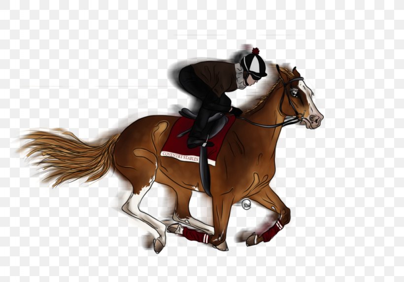 Hunt Seat Stallion Rein Mustang Horse Harnesses, PNG, 1024x715px, Hunt Seat, Animal Sports, Bit, Bridle, Dog Harness Download Free