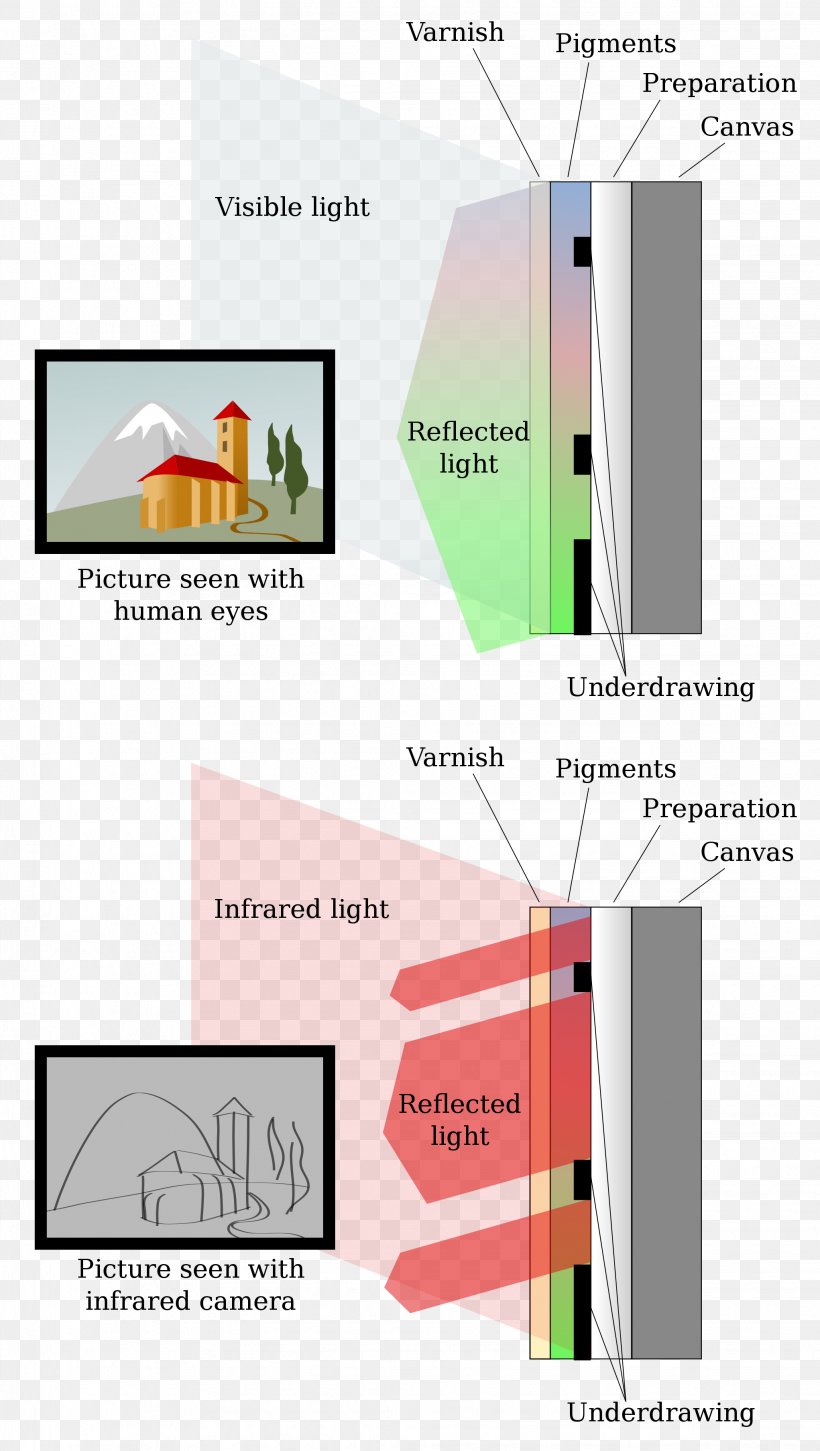 Light Infraroodreflectografie Infrared Electromagnetic Radiation Wikipedia, PNG, 2043x3617px, Light, Brand, Color, Diagram, Electromagnetic Radiation Download Free