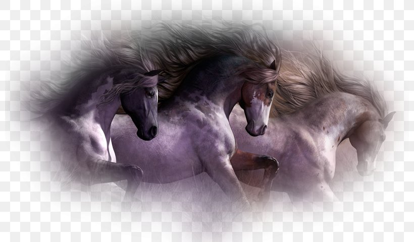 Mustang Brumby Pony American Paint Horse Wild Horse, PNG, 800x480px, Mustang, American Paint Horse, Art, Artist, Brumby Download Free