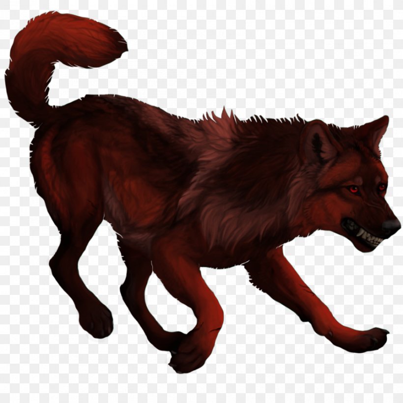 Red Fox Dog Image Design, PNG, 894x894px, Red Fox, Carnivoran, Cartoon, Designer, Dhole Download Free