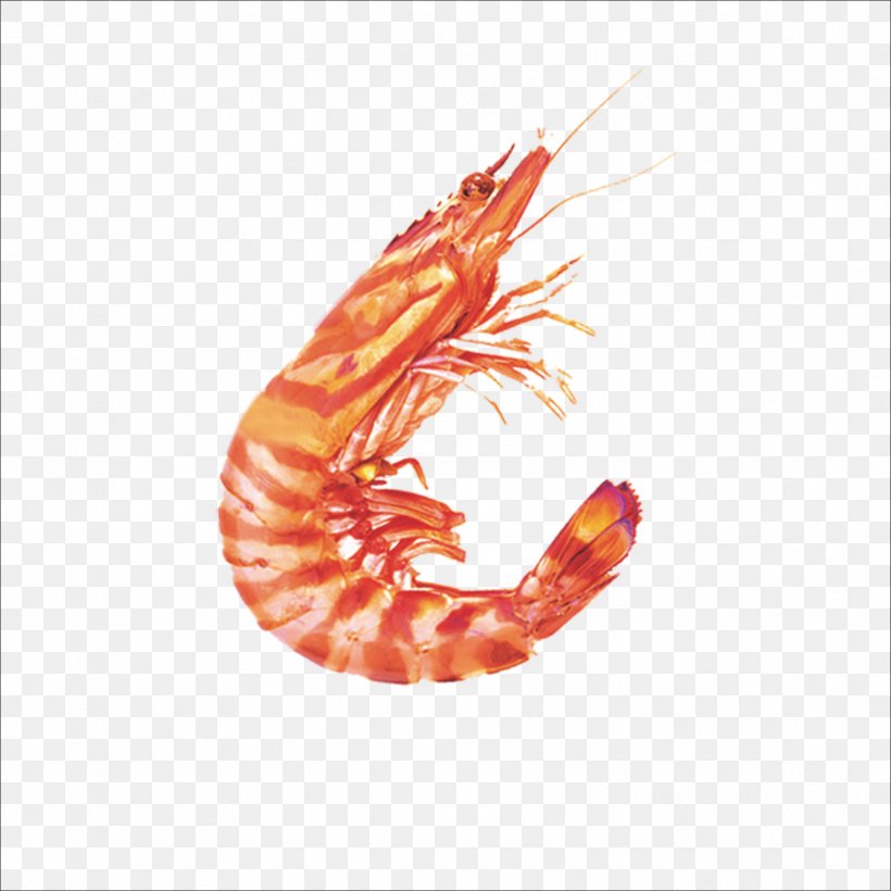 Seafood Caridea Shrimp Crab, PNG, 1773x1773px, Caridea, Close Up, Gratis, Orange, Pattern Download Free