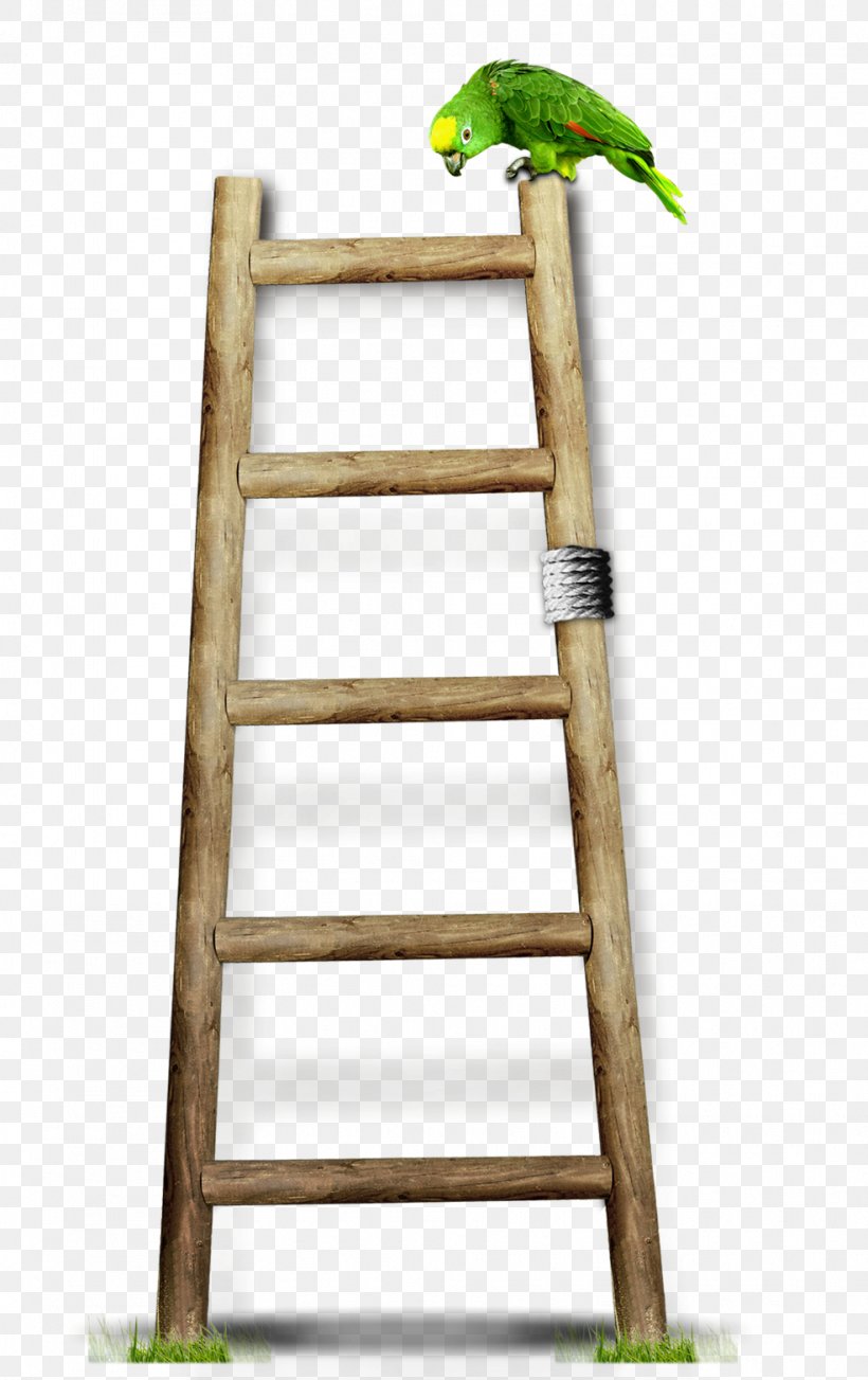 Wood Ladder Stairs, PNG, 985x1566px, Wood, Furniture, Gratis, Ladder, Stair Riser Download Free