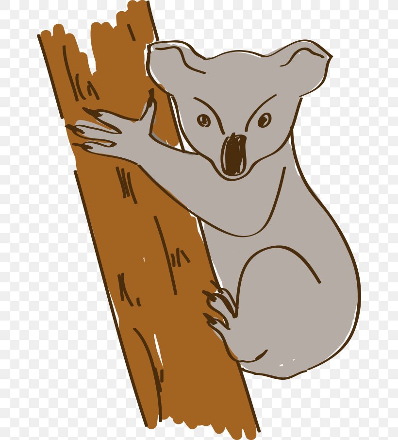 Australia Koala Cartoon, PNG, 668x906px, Australia, Animal, Bear, Carnivoran, Cartoon Download Free