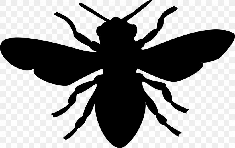 European Dark Bee Honey Bee Silhouette, PNG, 1280x810px, Bee, Art, Arthropod, Artwork, Black And White Download Free