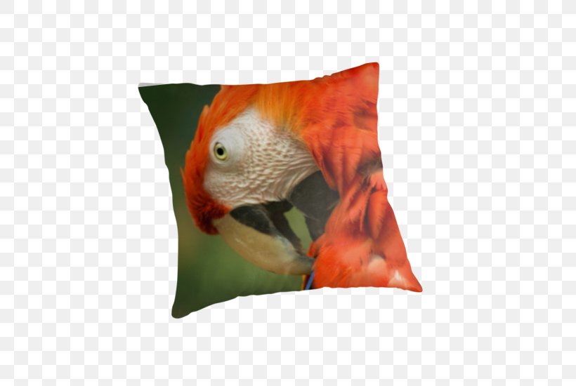 Macaw Beak Cushion, PNG, 550x550px, Macaw, Beak, Bird, Cushion, Fauna Download Free