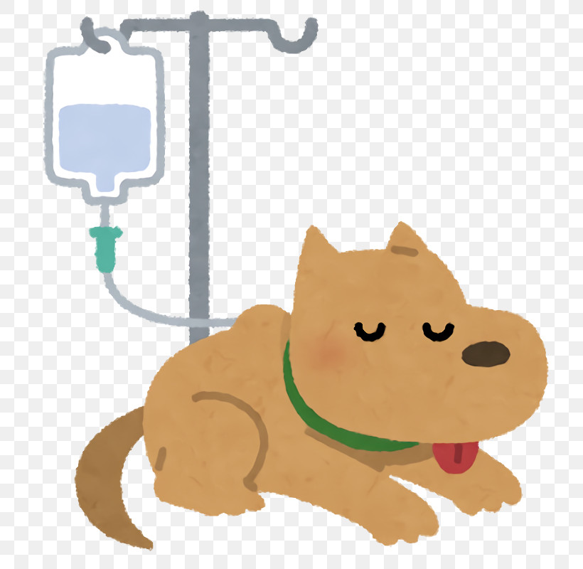 Pet Health Health Care, PNG, 800x800px, Pet Health, Cartoon, Health Care, Snout, Tail Download Free