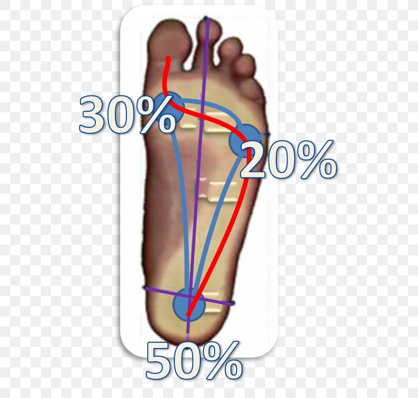 Thumb Esame Baropodometrico Foot Orthopaedics Metatarsal Bones, PNG, 662x780px, Watercolor, Cartoon, Flower, Frame, Heart Download Free