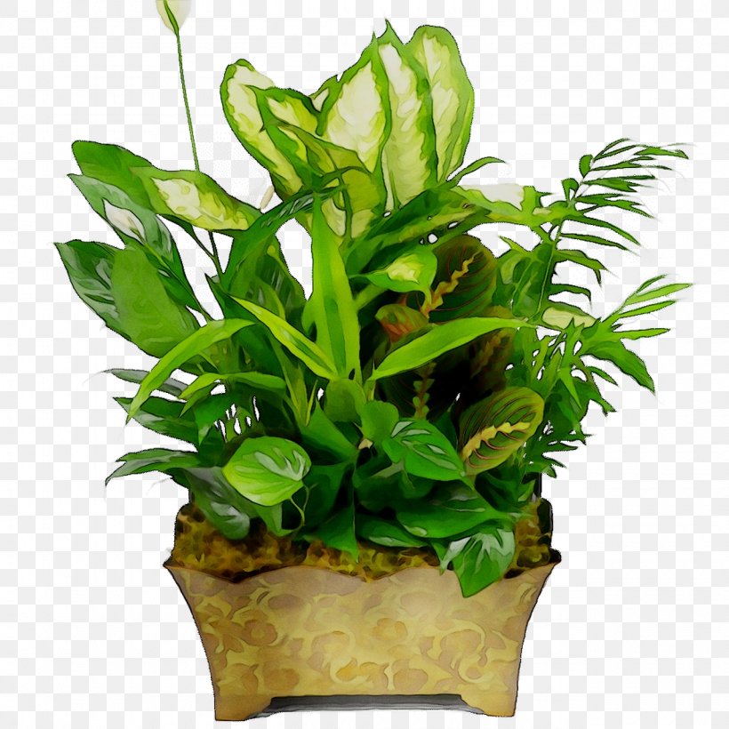 Houseplant Flowerpot Leaf Plants Plant Stem, PNG, 1280x1280px, Houseplant, Anthurium, Aquarium Decor, Aquatic Plants, Flower Download Free