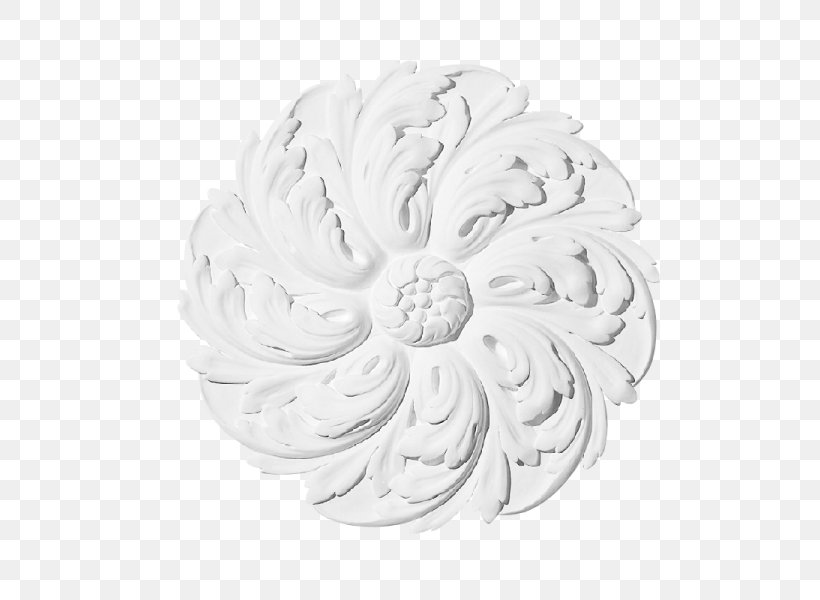 Petal White, PNG, 600x600px, Petal, Black And White, Cut Flowers, Flower, White Download Free