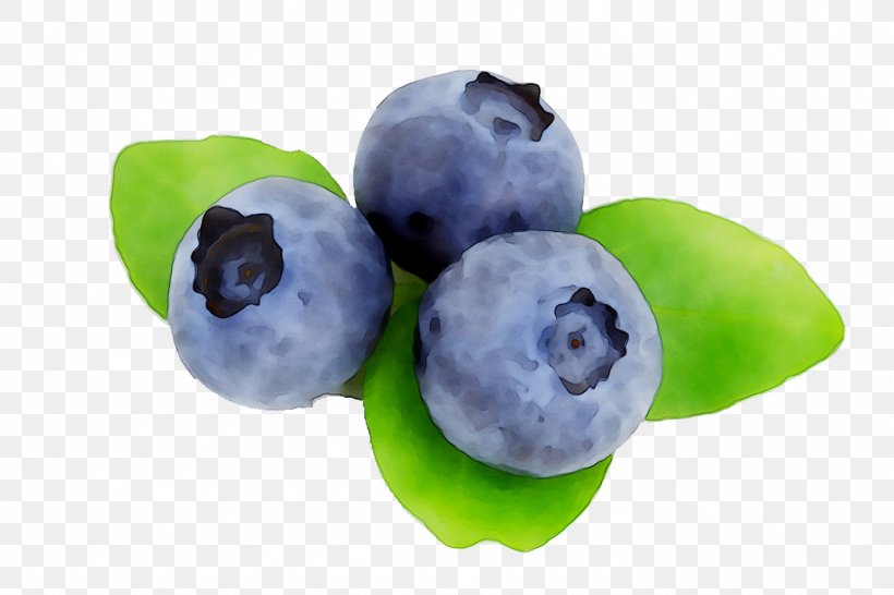 Blueberry Fruit Stock.xchng American Muffins Berries, PNG, 1484x989px, Blueberry, Accessory Fruit, American Muffins, Berries, Berry Download Free