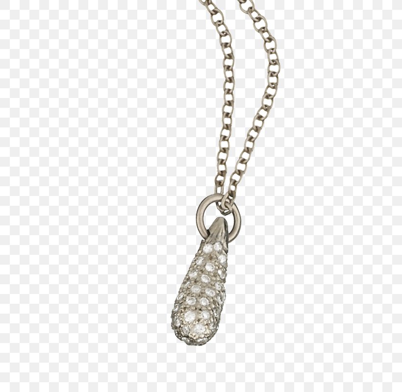 Charms & Pendants Necklace Gemstone Silver Jewellery, PNG, 800x800px, Charms Pendants, Body Jewellery, Body Jewelry, Chain, Fashion Accessory Download Free