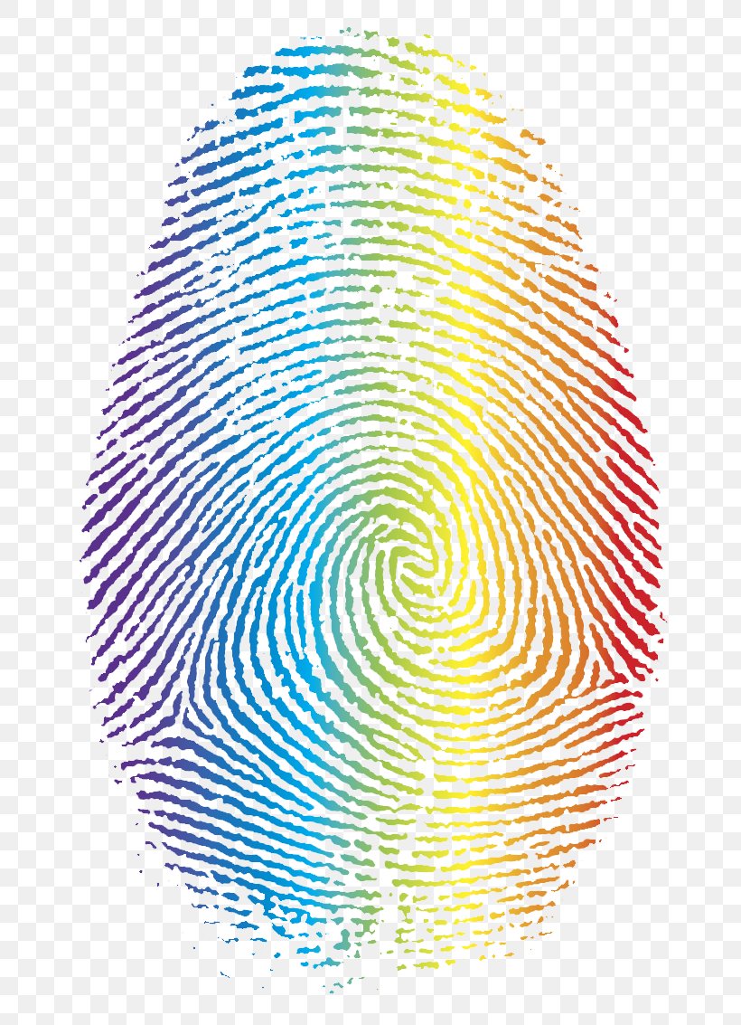 Fingerprint Clip Art, PNG, 784x1133px, Fingerprint, Bmp File Format, Finger, Organism, Point Download Free