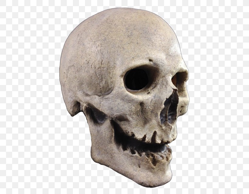 Mask Human Skeleton Skull Costume, PNG, 436x639px, Mask, Adult, Antique, Bone, Child Download Free