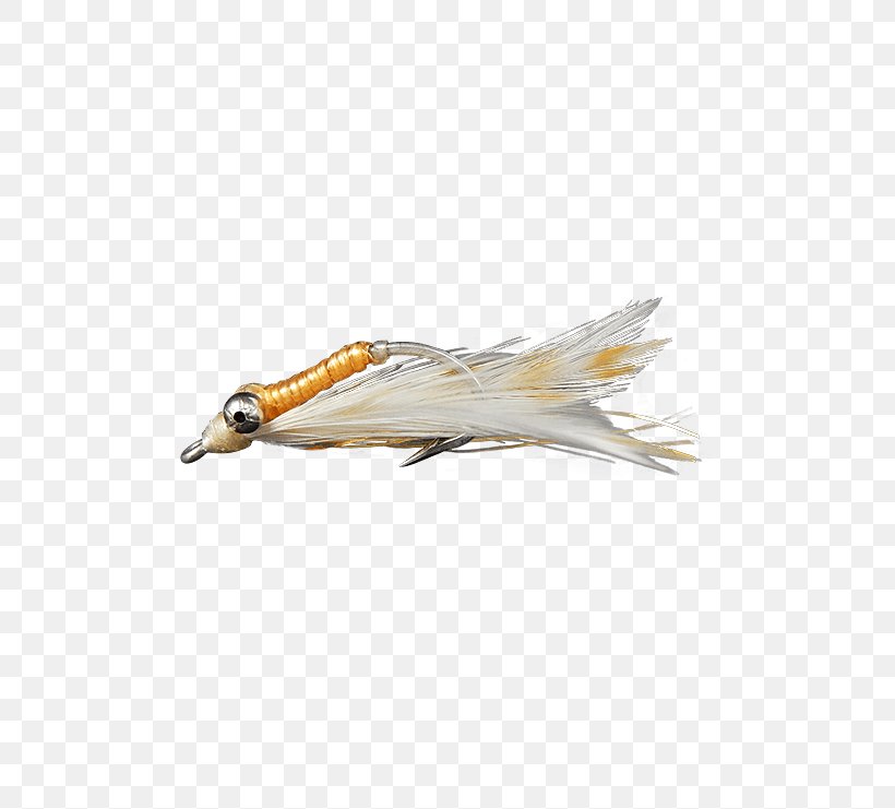 Crazy Charlie Bonefish Grill Shrimp Holly Flies, PNG, 555x741px, Crazy Charlie, Beak, Bird, Bonefish, Bonefish Grill Download Free