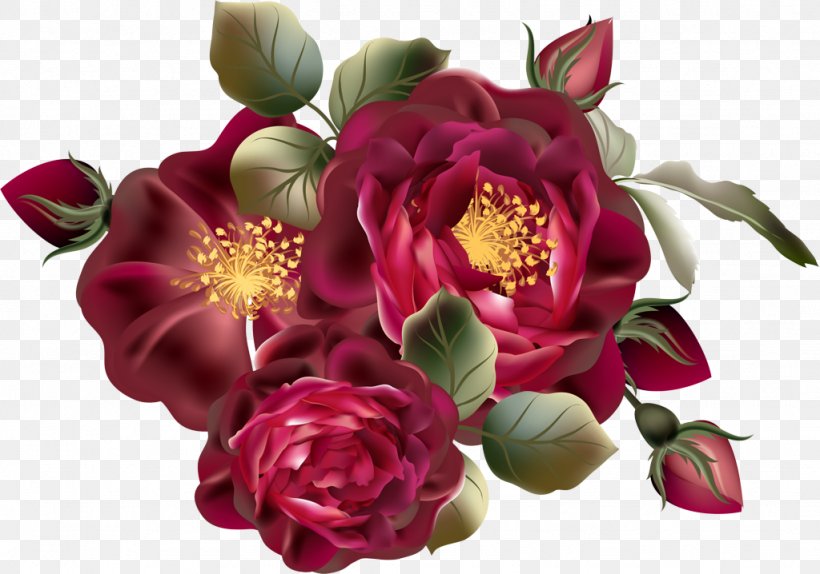 Garden Roses, PNG, 1024x718px, Flower, Cut Flowers, Flowering Plant, Garden Roses, Petal Download Free