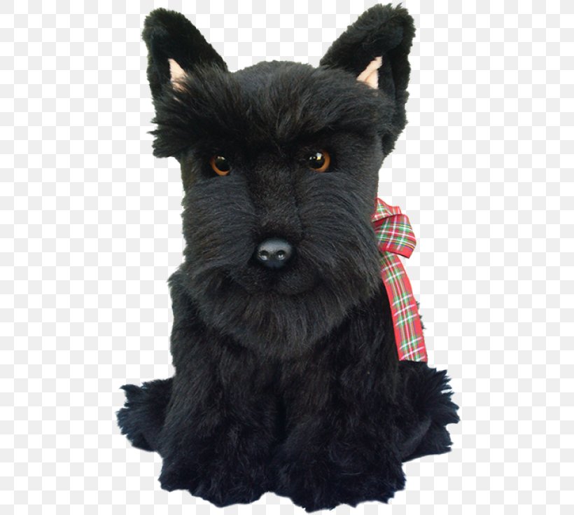 Miniature Schnauzer Scottish Terrier Cairn Terrier Affenpinscher French Bulldog, PNG, 500x735px, Miniature Schnauzer, Affenpinscher, Border Terrier, Breed, Cairn Terrier Download Free