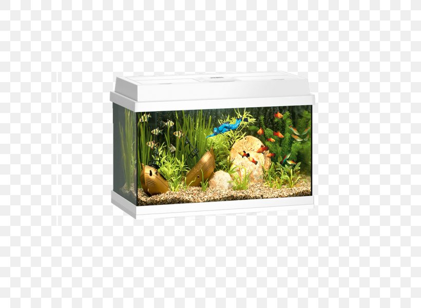 Aquariums Fishkeeping Juwel Primo Pet Shop, PNG, 600x600px, Aquarium, Aquarium Filters, Aquariums, Bitxi, Fish Download Free