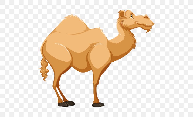 Camel Clip Art, PNG, 500x500px, Camel, Animal Figure, Arabian Camel, Camel Like Mammal, Fauna Download Free