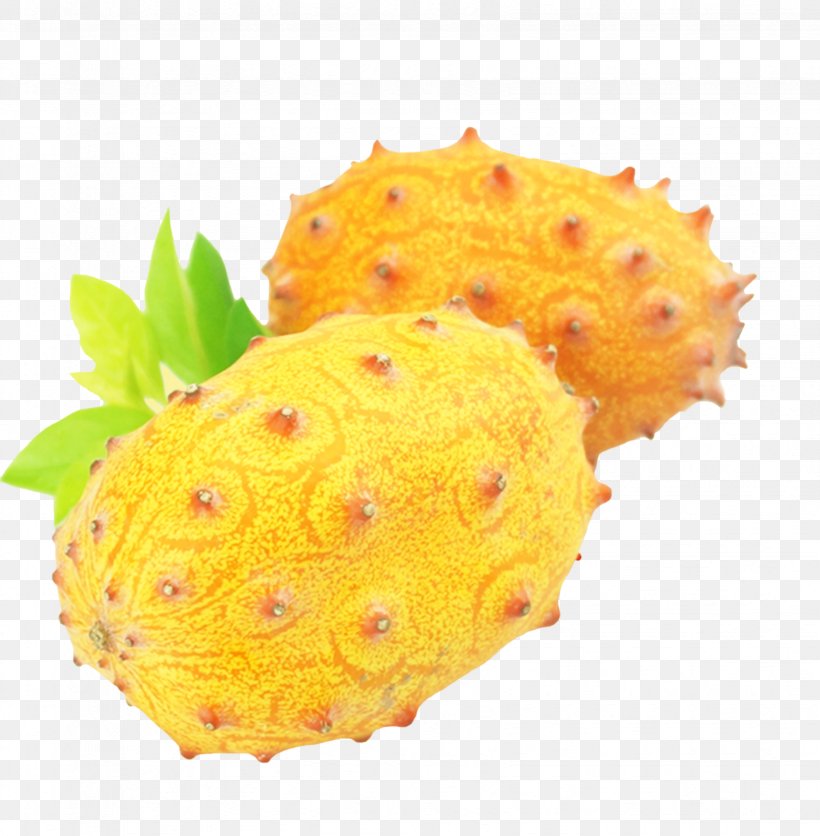 Horned Melon Cucumber Fruit, PNG, 3292x3359px, Horned Melon, Auglis, Cucumber, Cucumber Gourd And Melon Family, Cucumis Download Free
