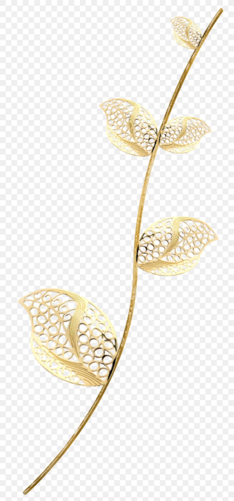 Image Leaf Plant Stem Photograph, PNG, 800x1753px, Leaf, Flora, Flower, Plant, Plant Stem Download Free