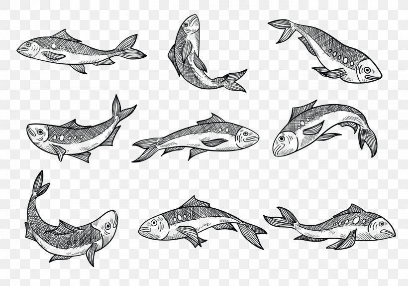 Sardine Sketch Drawing Vector Graphics, PNG, 1400x980px, Sardine, Anchovy, Animal Figure, Artwork, Automotive Design Download Free
