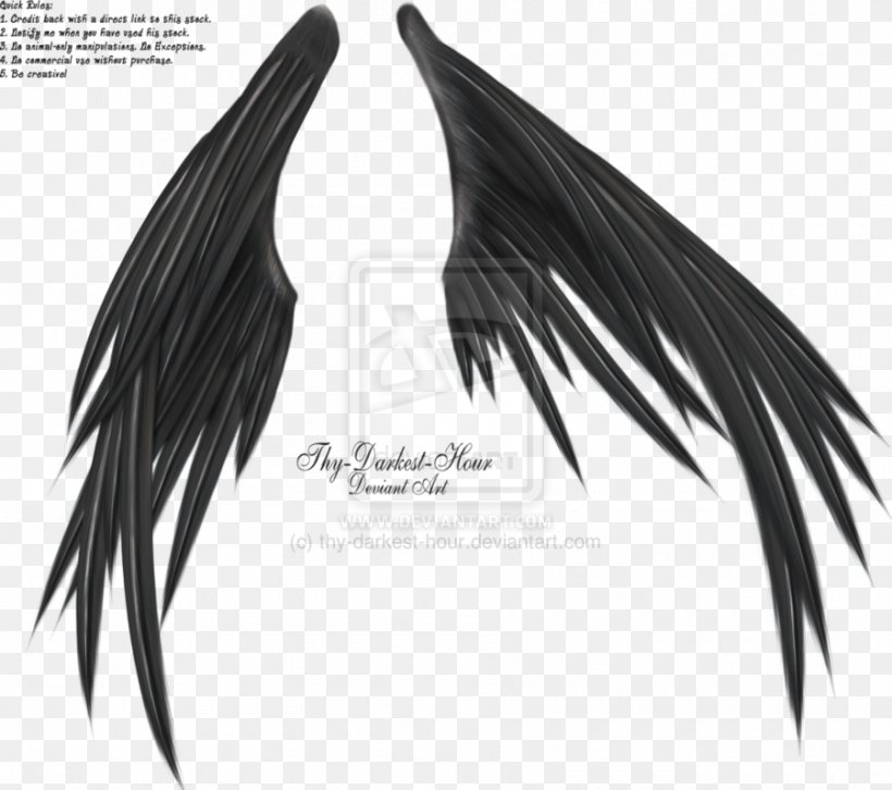 Wings Of Madness Photography Zeno Morf Clip Art, PNG, 900x797px, Wings Of Madness, Black, Black And White, Darkest Hour, Deviantart Download Free