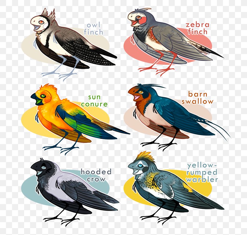 Beak Finches Fauna Feather, PNG, 787x783px, Beak, Bird, Fauna, Feather, Finch Download Free